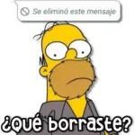 ¿qué borraste? Se eliminó este mensaje