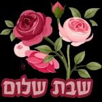 שבת שלום