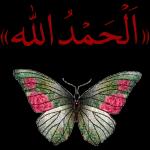 يالله انك تصلحها