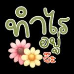 คำฮิต ภาษาดอกไม้ คนเหงา