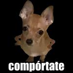                              👌🏻 De todo un poco! #➋TOP STICKERS