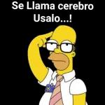 Al fin respondes