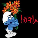 הורדה חינם, עדכונים יומיים, אין צורך בכניסה