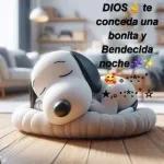 toy chido