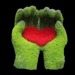 naseer