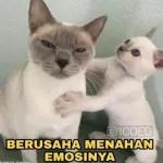 380
lima puluh bang!!