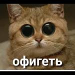 Доброе утро