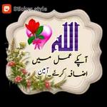 aslam o alikum