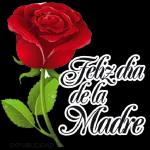 Feliz Dia de la Madre