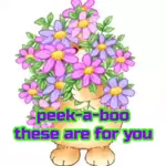 peek-a-boo these are for you
