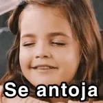 cojerte 