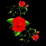 السلام علیکم!
 