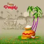 Pongal
