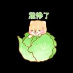 ♡療癒柴犬♡ 諧音梗貼圖