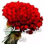 naseer