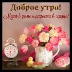 Доброе утро  ☀  ☀