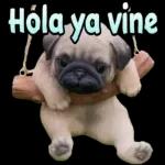 Hola ya vine
