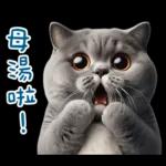 起肖貓貓★台語卡唬爛!