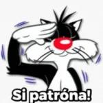 jajajaja Te mamaste