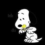 Snoopy ist hier