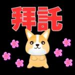 可愛柯基- 實用日常用語