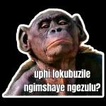 uPhi loKubuZile ngimshaye ngeZulu?