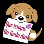 buenas noches