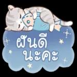 ซาบค่ะ
รับ