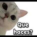 TULO QUE NECESITAS ES UN NEGRO QUE TE HAGA FELIZ