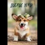 ДОБРОЕ УТРО!