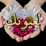 السلام عليكم