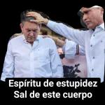brincos