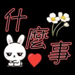 就是可愛的小兔子