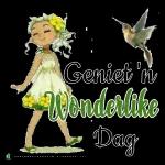 Goeie Nag.
