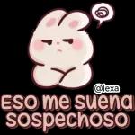 🎀🐰Andy, Conejo🐰🎀 2