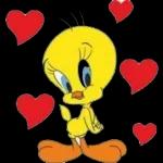 piolin