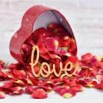 love and rose
