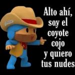 jajaja todo pendejo