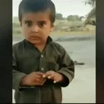 Pica-pau fumando um cigarro