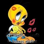 a mimirrrr