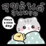 แมวมาร์คัส V.3 : HNY