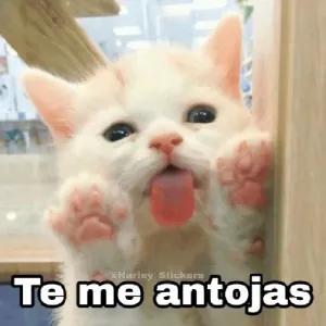 Te me antojas - getsticker.com