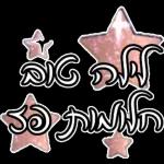 כל מיני
