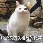 尷尬又不失禮貌的微笑