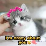 Inlove