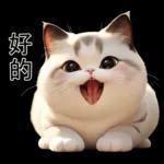 可愛的小肥貓🐱 