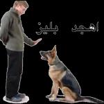 ببببببببببب