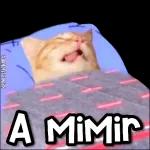A MiMir
