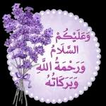 كل دقة بقلبي بتقولي