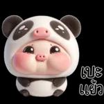 หมูแพนด้าน่ารักจังเลย